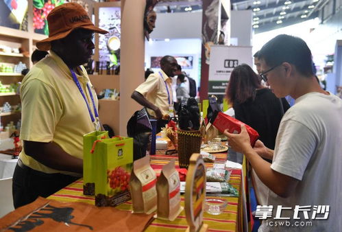 一场跨越万里的经贸之恋 经济贸易咨询的精彩篇章